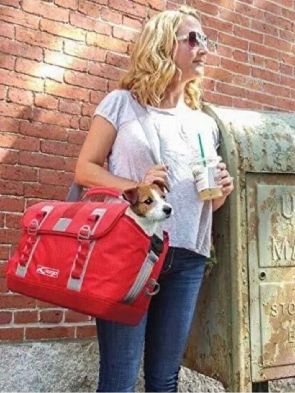 Kurgo 3-in-1 Dog Carrier, Fits 15 Pounds